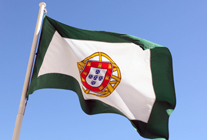 Bandeira da Assembleia da República