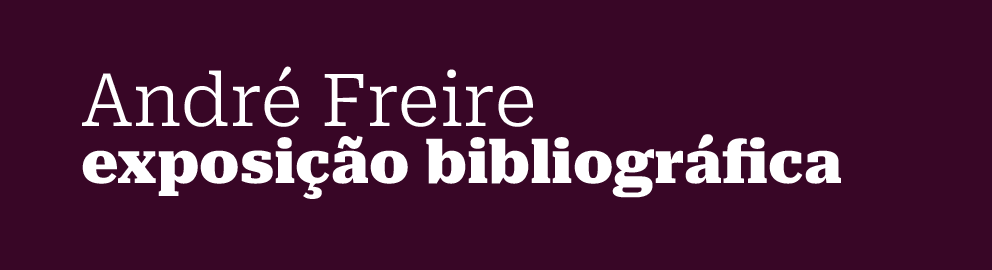 destaque_andre_freire.jpg