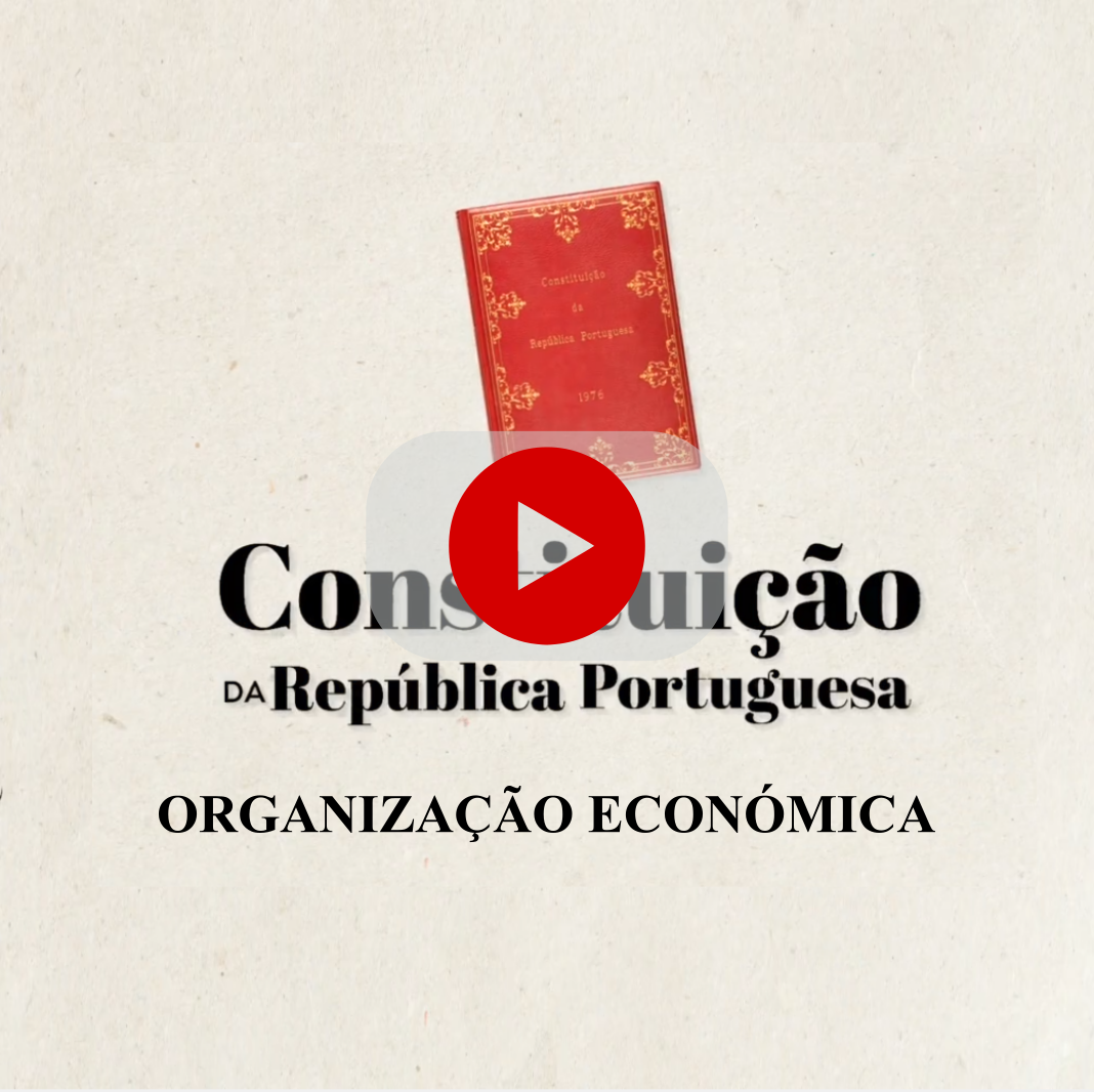 Oranização Económica
