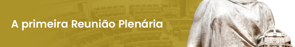 A primeira Reunião Plenária