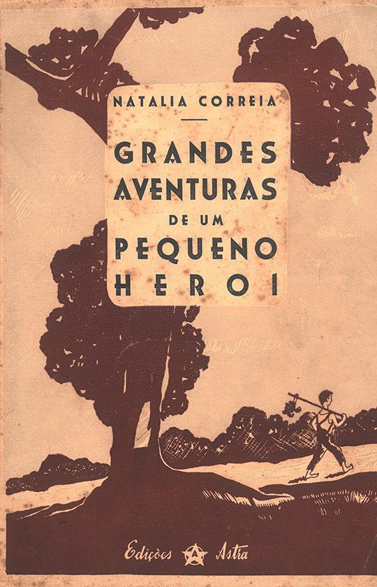 Grandes aventuras de um pequeno herói : romance infantil
