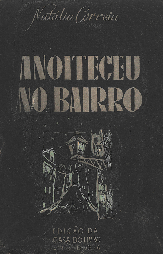 Anoiteceu no Bairro : romance