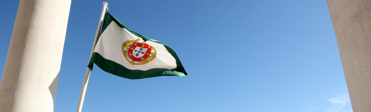 Bandeira da AR