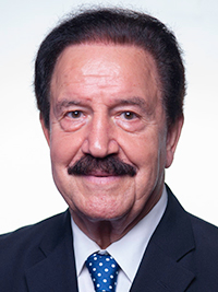 Fernando Ruas, Presidente da 13.ª Comissão