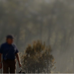 Grupo Popular "O Pinhal é Nosso"