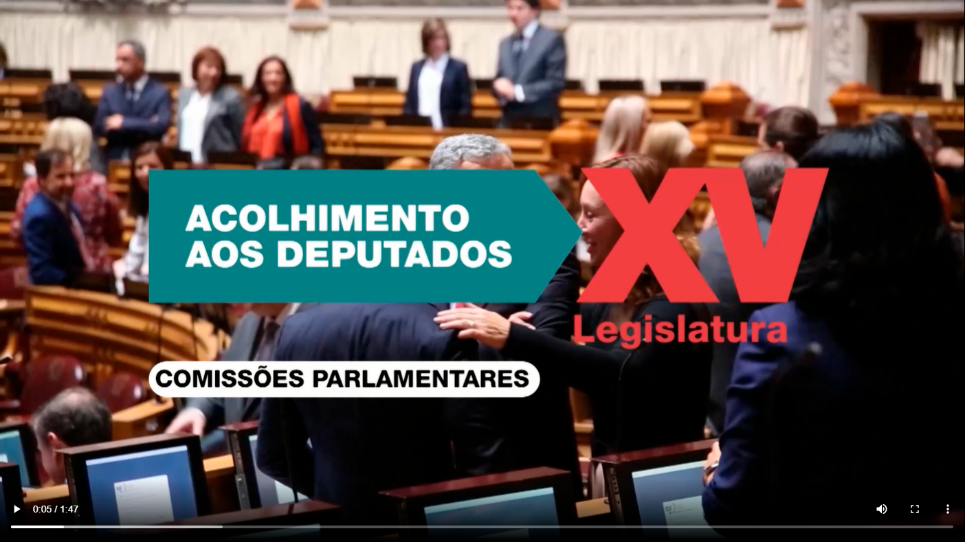 Comissões parlamentares